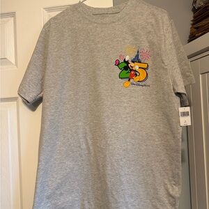2025 Walt Disney World Grey tShirt